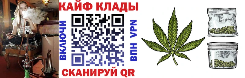 Где продают наркотики Воронеж ГАШИШ  OMG как войти  Мефедрон  Бошки Шишки 