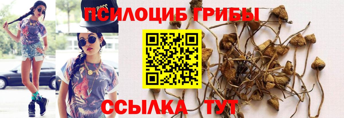 Воронеж  Псилоцибиновые грибы Psilocybine cubensis  Псилоцибиновые грибы Psilocybine cubensis  Вход с VPN 