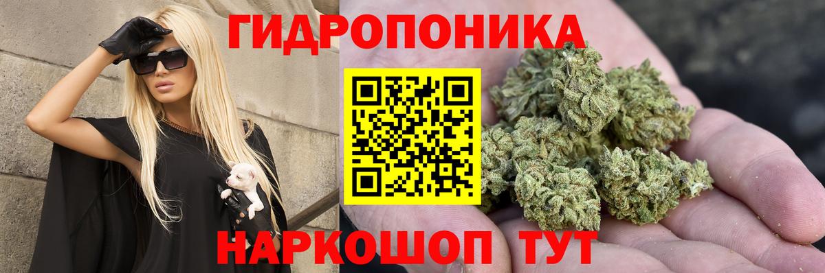 Бошки Шишки VHQ Воронеж